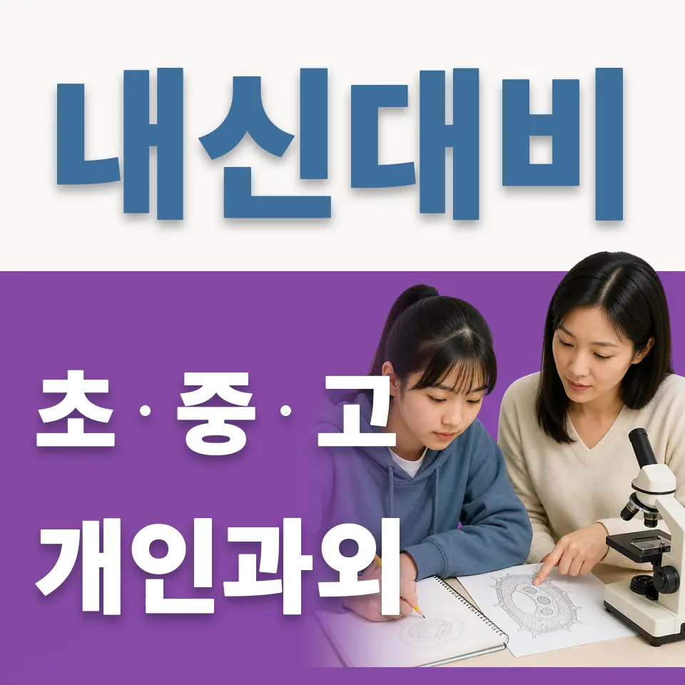 하광교동 초등 영어과외 학습 안내