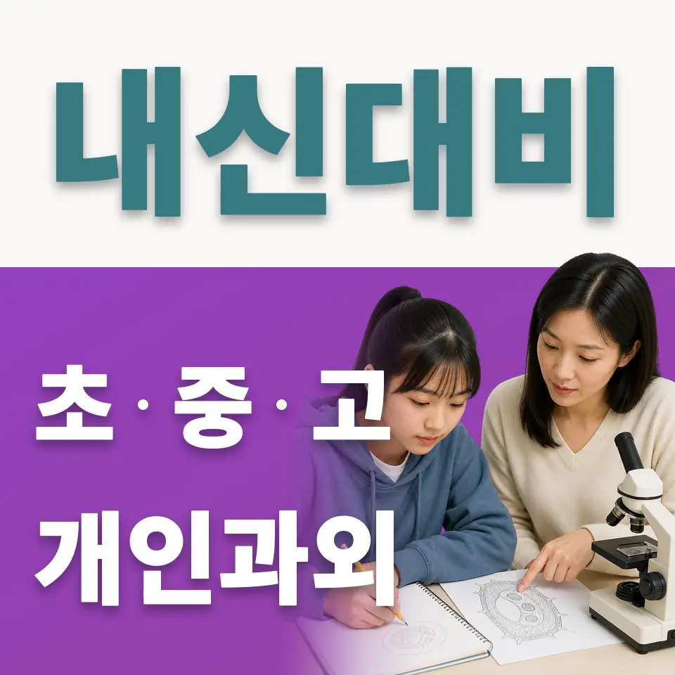 성남동 중학생 사회과외 학습 안내