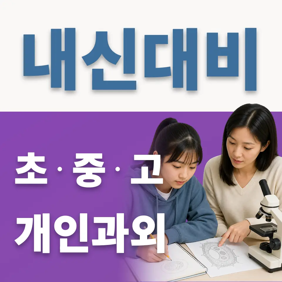 사곡동 초등 영어과외 학습 안내