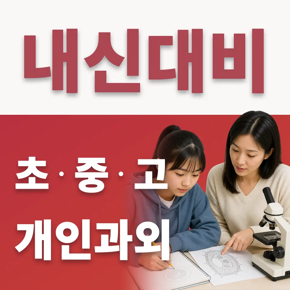 우만동 초등 수학과외 학습 안내