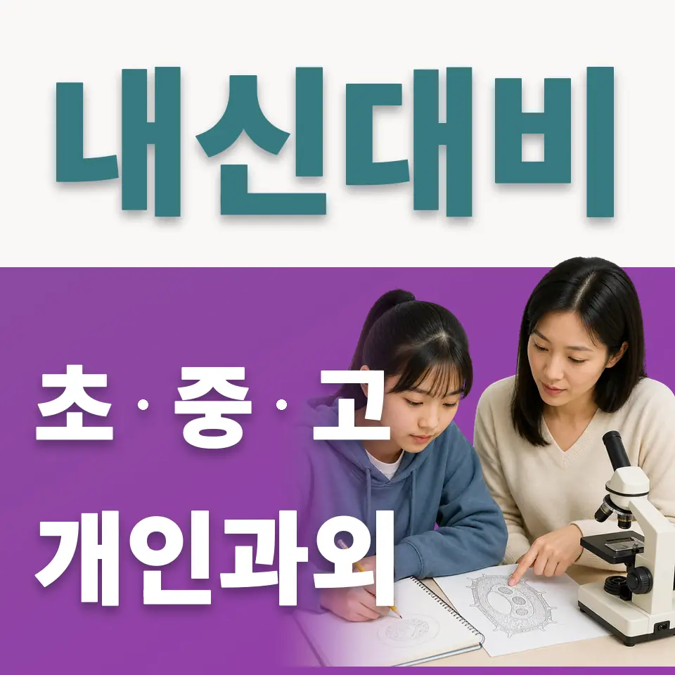 은솔초 사회과외 학습 안내