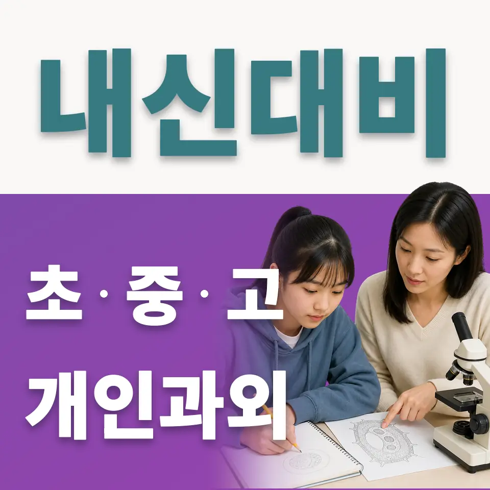 대성동초 사회과외 학습 안내