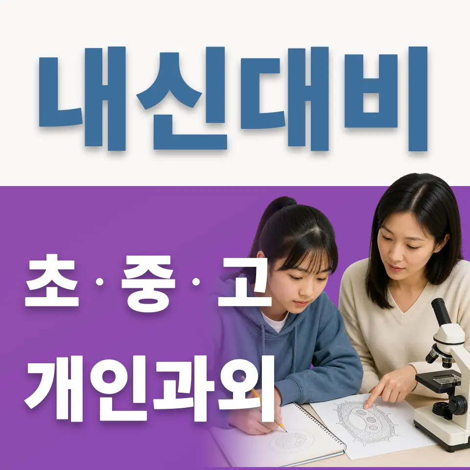 강서구 초등 과외 학습 안내
