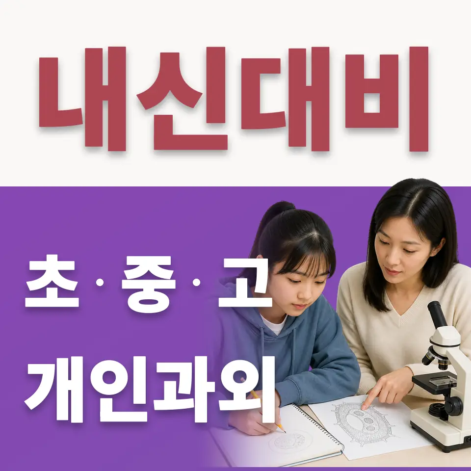 번동 초등 수학과외 학습 안내