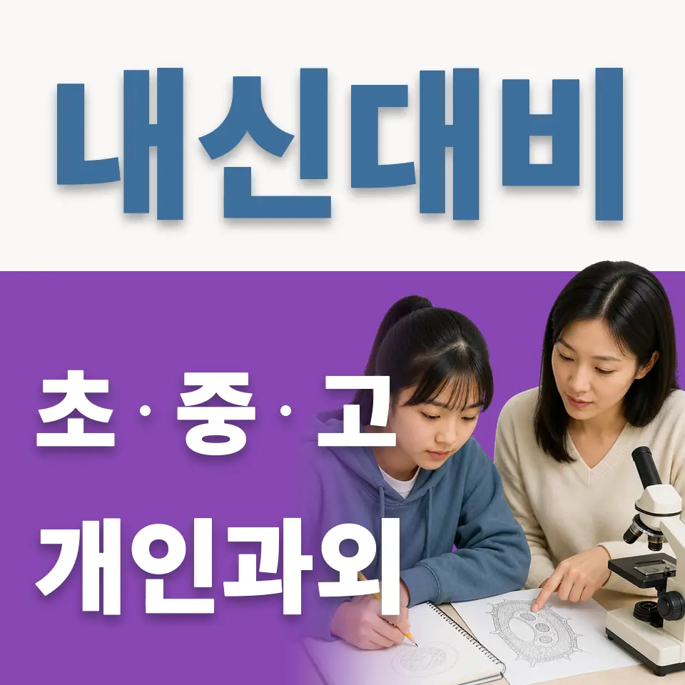 용두동 초등 영어과외 학습 안내