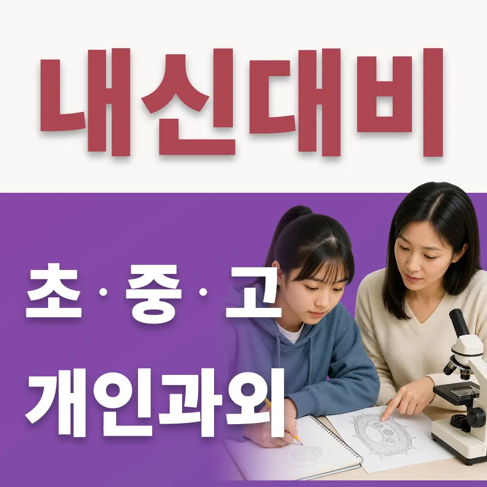 마포구 신정동 초등 수학과외 학습 안내