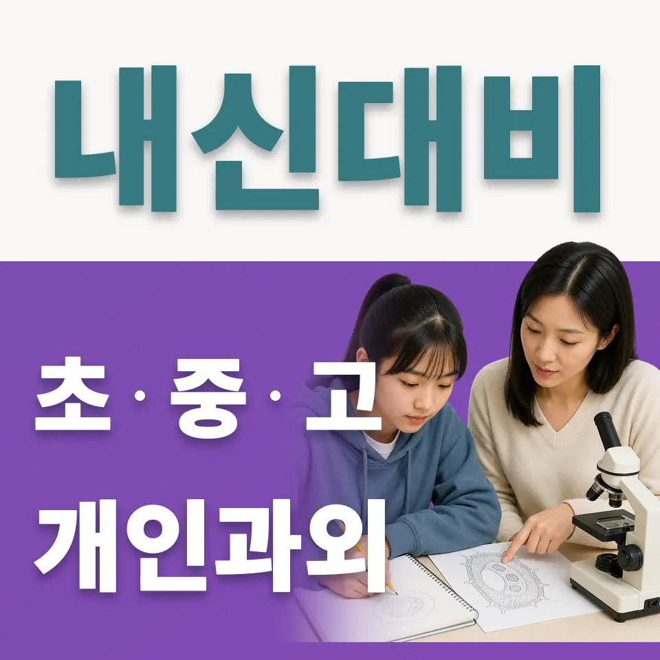 서교동 중학생 사회과외 학습 안내