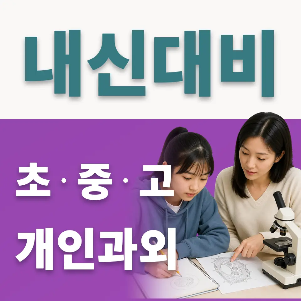 천연동 고등 사회과외 학습 안내