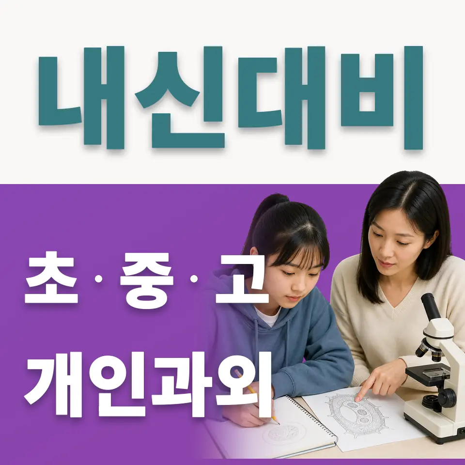 교북동 초등 사회과외 학습 안내