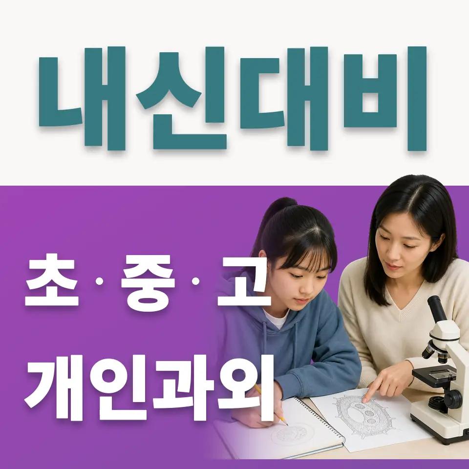 송현동 초등 사회과외 학습 안내