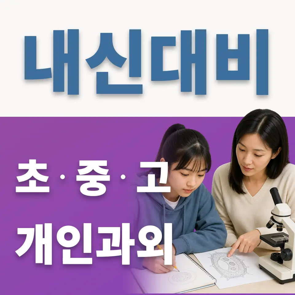 세종로 초등 영어과외 학습 안내