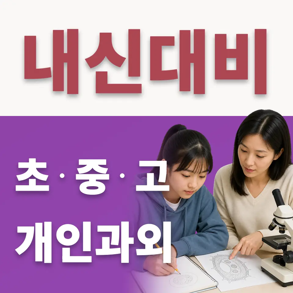 홍파동 초등 수학과외 학습 안내