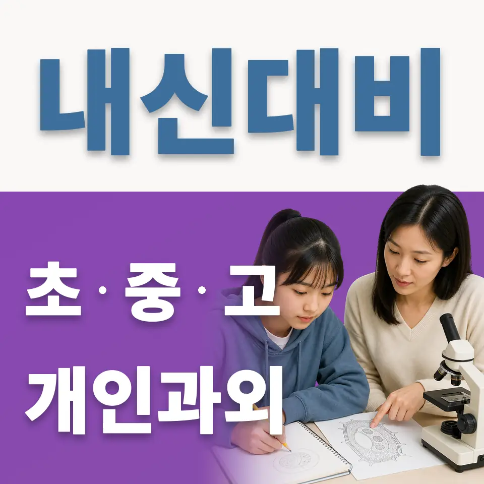 장충동1가 초등 영어과외 학습 안내