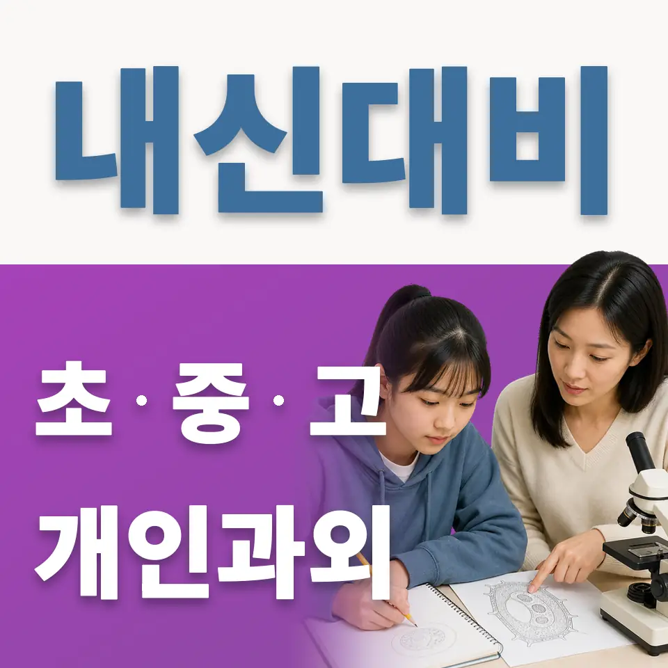 흥인동 과외 학습 안내
