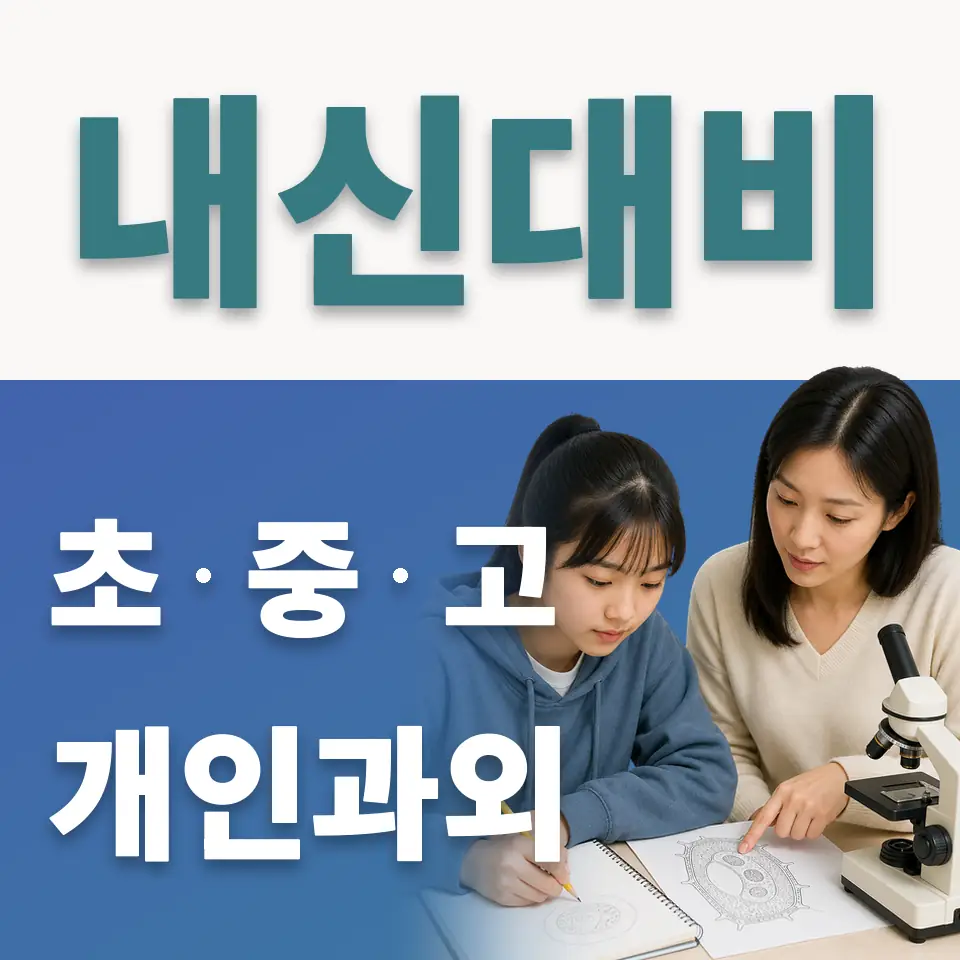 은평초 사회과외 학습 안내