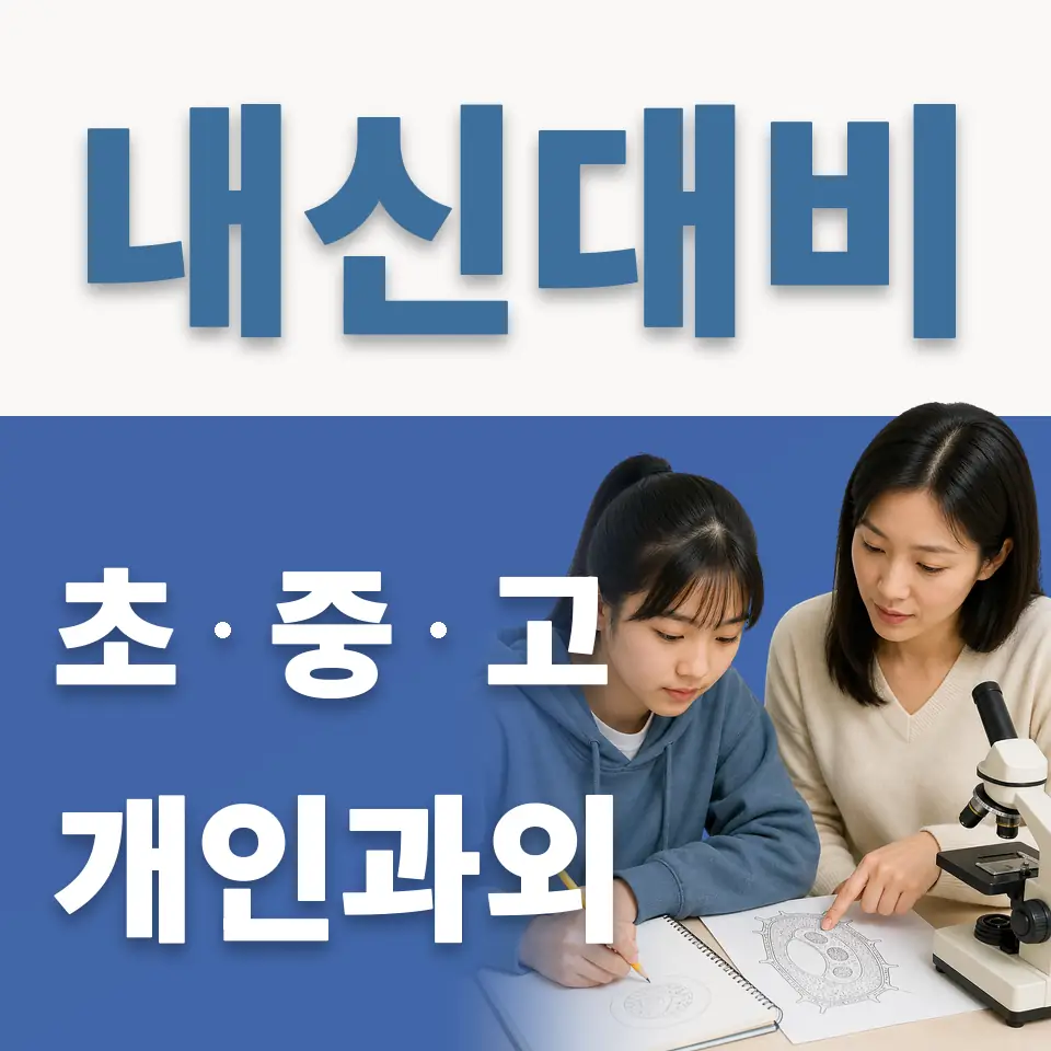 노원초 과외 학습 안내