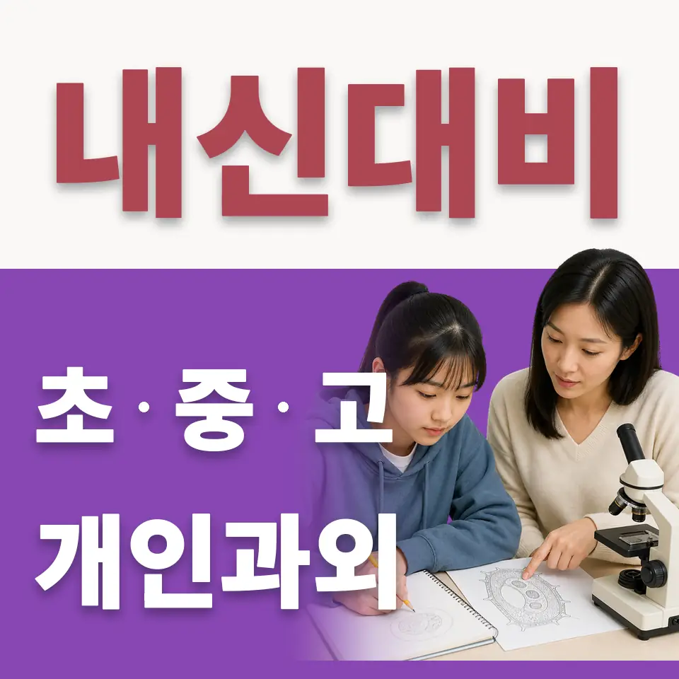 서정초 수학과외 학습 안내