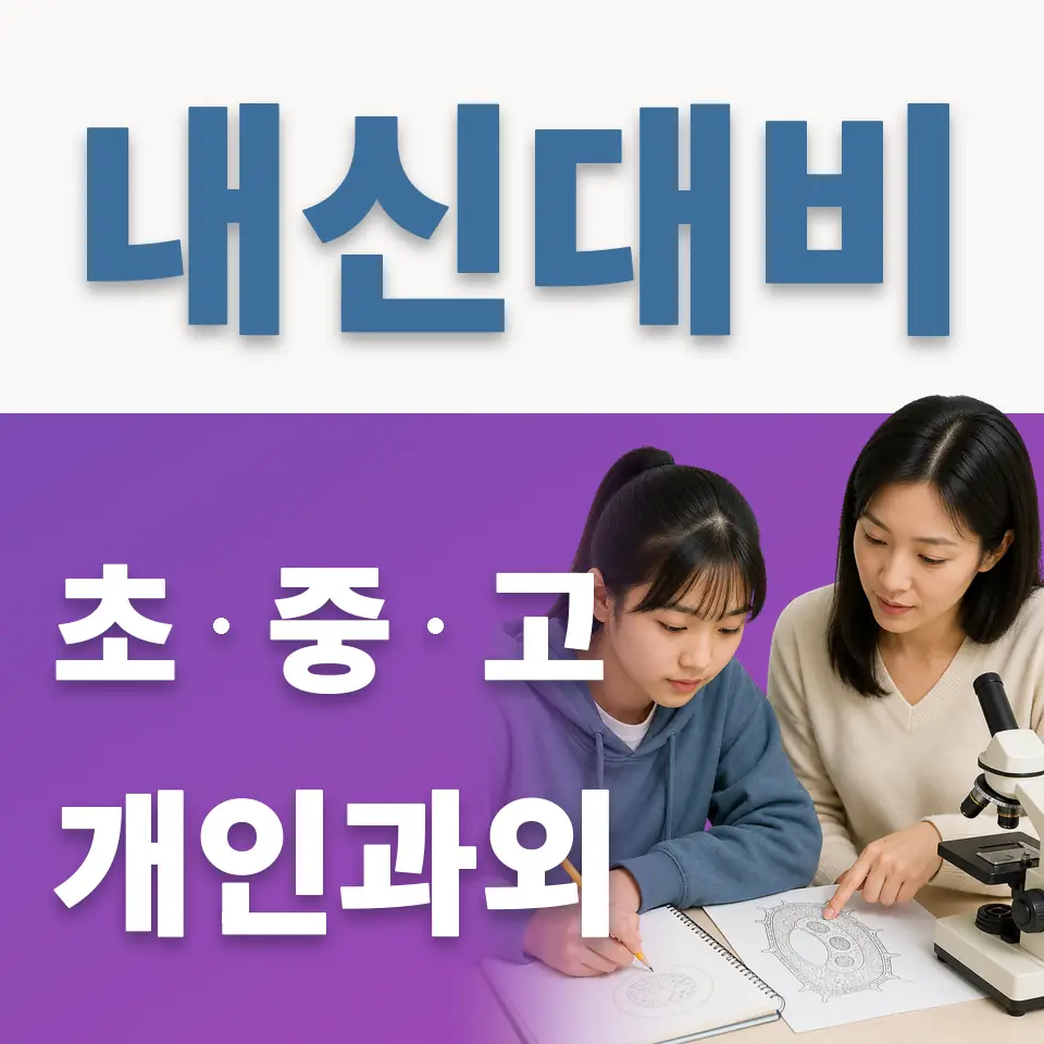 홍연초 영어과외 학습 안내