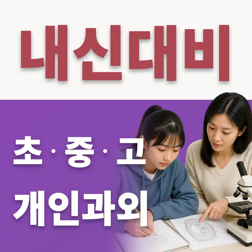 성자초 수학과외 학습 안내