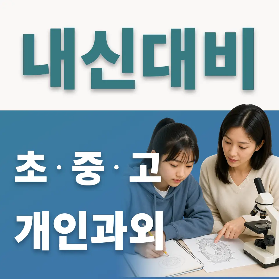 신상계초 사회과외 학습 안내